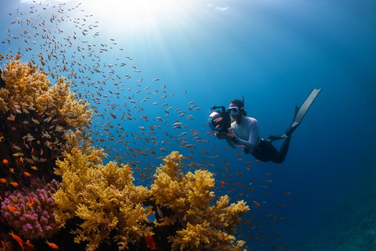 Unlocking the Secrets of Destination Management Services